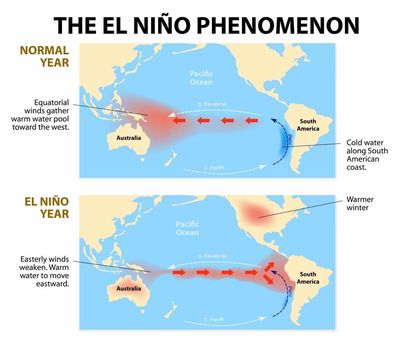 El Niño Fears Push Coffee Prices Higher